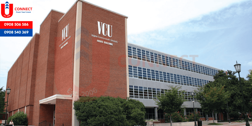 Đại học Virginia Commonwealth (VCU)&nbsp;, bang Virginia - Mỹ
